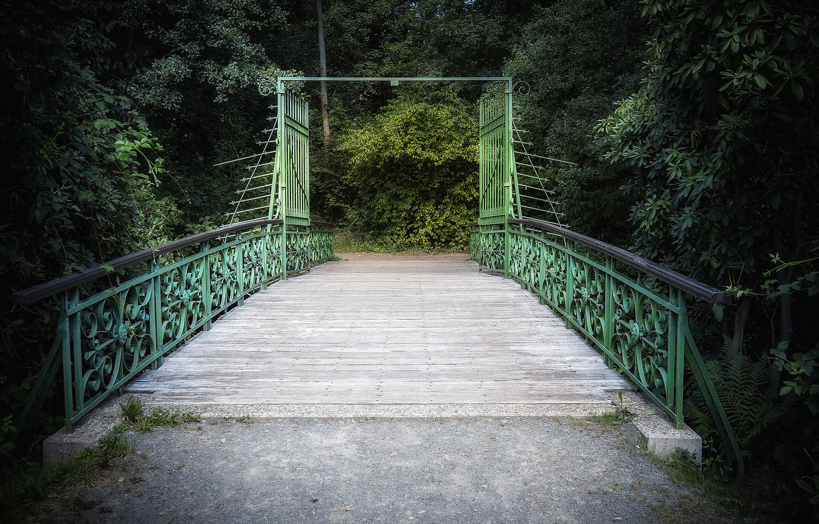 die Brücke in den Wald