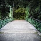 die Brücke in den Wald