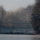 Die Brücke in den Wald