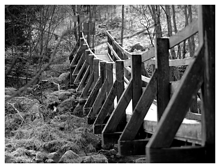 Die Brücke in die Einsamkeit