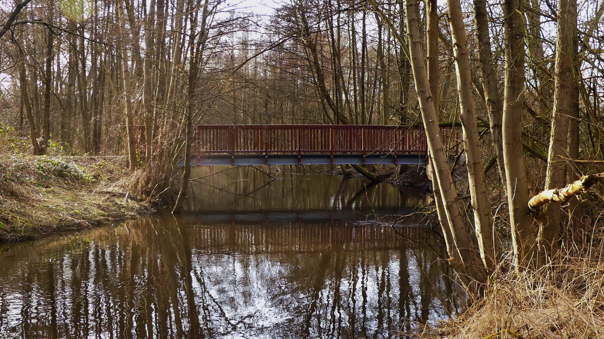 Die Brücke in die ungestörte Natur