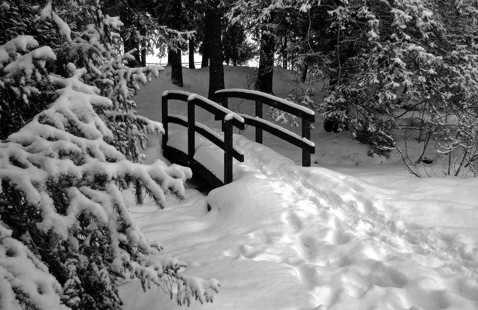 Die Brücke in Richtung Winter....