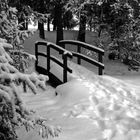 Die Brücke in Richtung Winter....