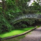 Die Brücke ins Grüne