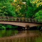 Die Brücke ins Grüne