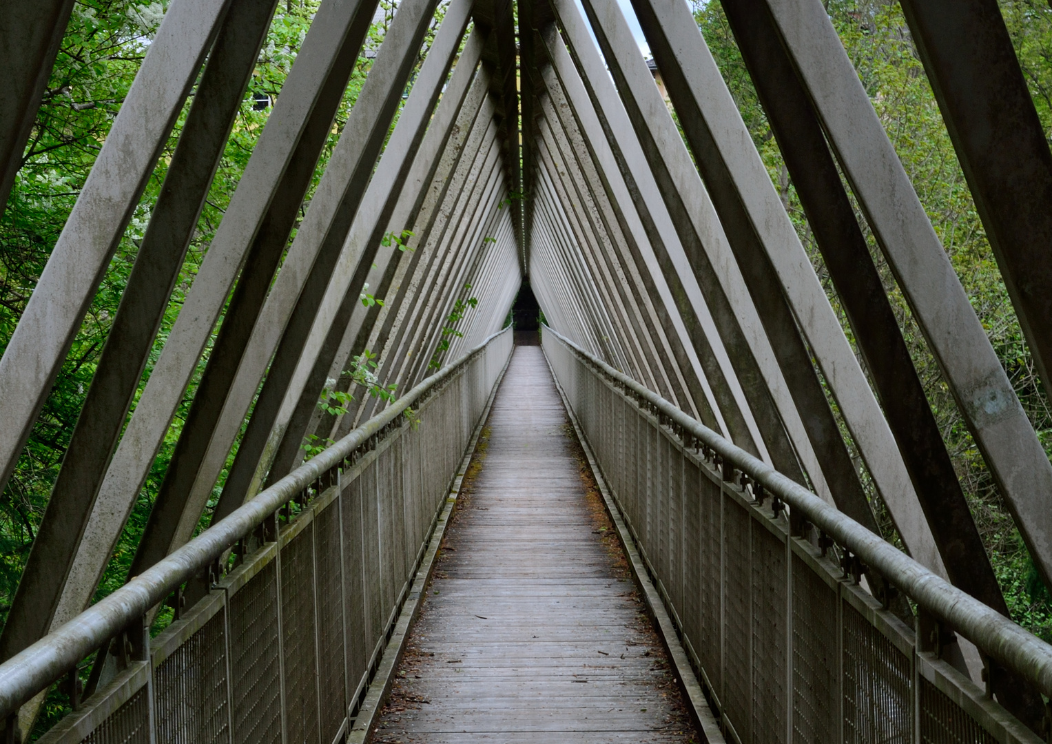 Die Brücke ins Nichts