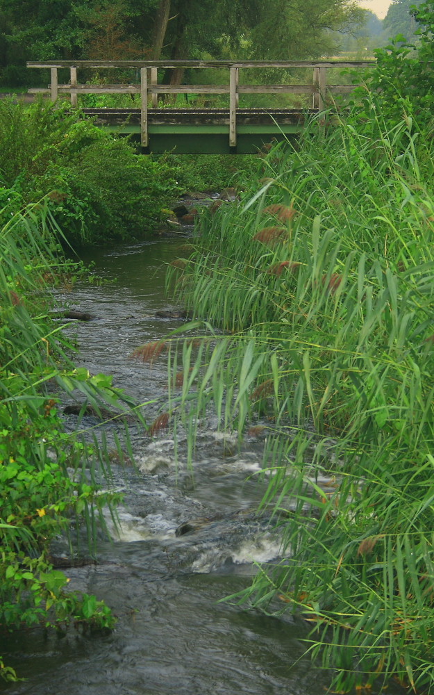 Die Brücke ins Paradies