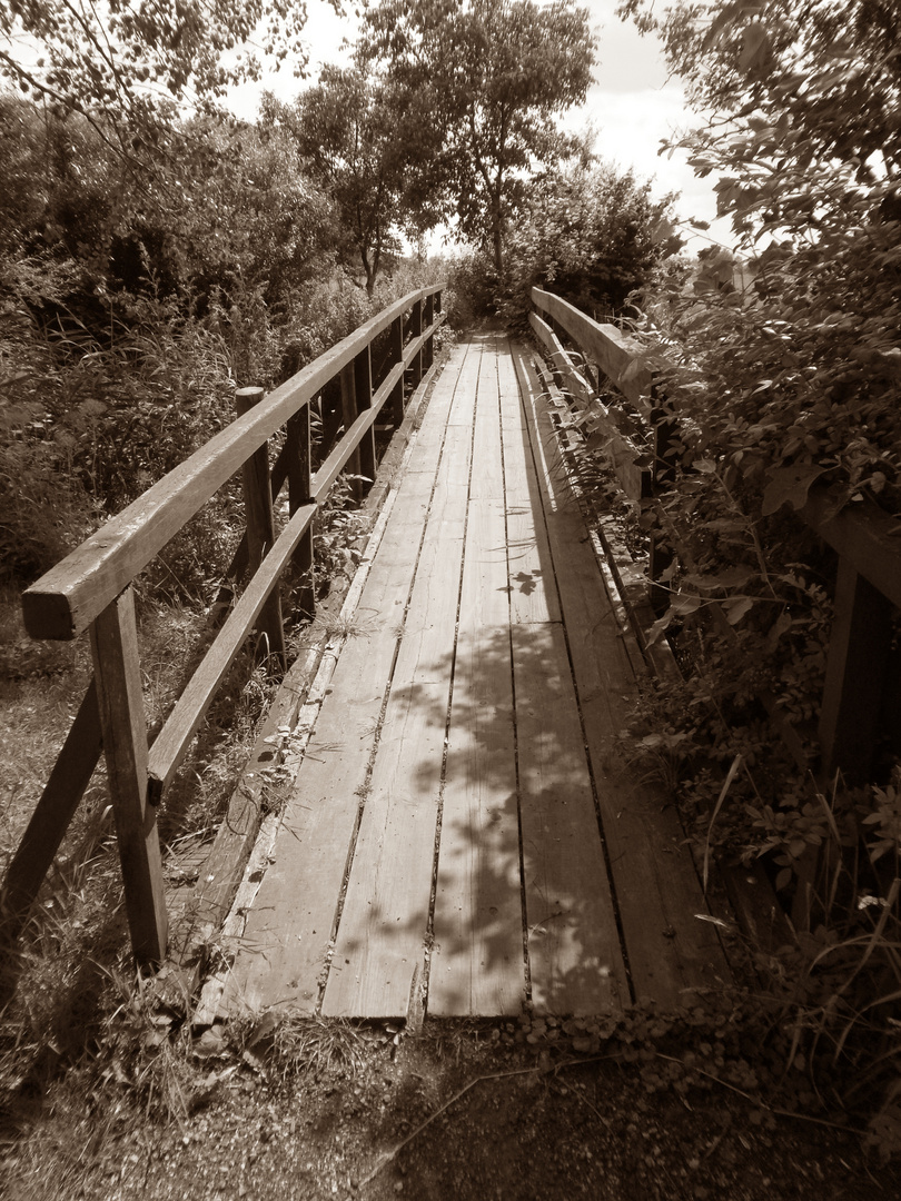 Die Brücke ins Ungewisse