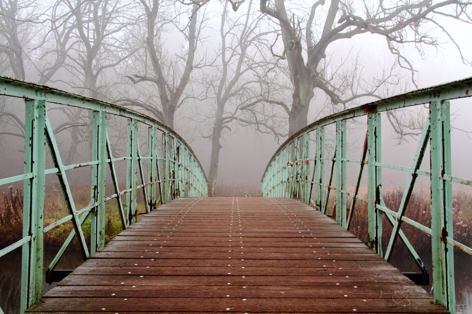 Die Brücke ins Ungewisse