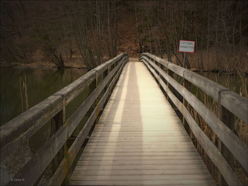 Die Brücke nach drüben...