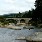 Die Brücke Pont Du Tarn