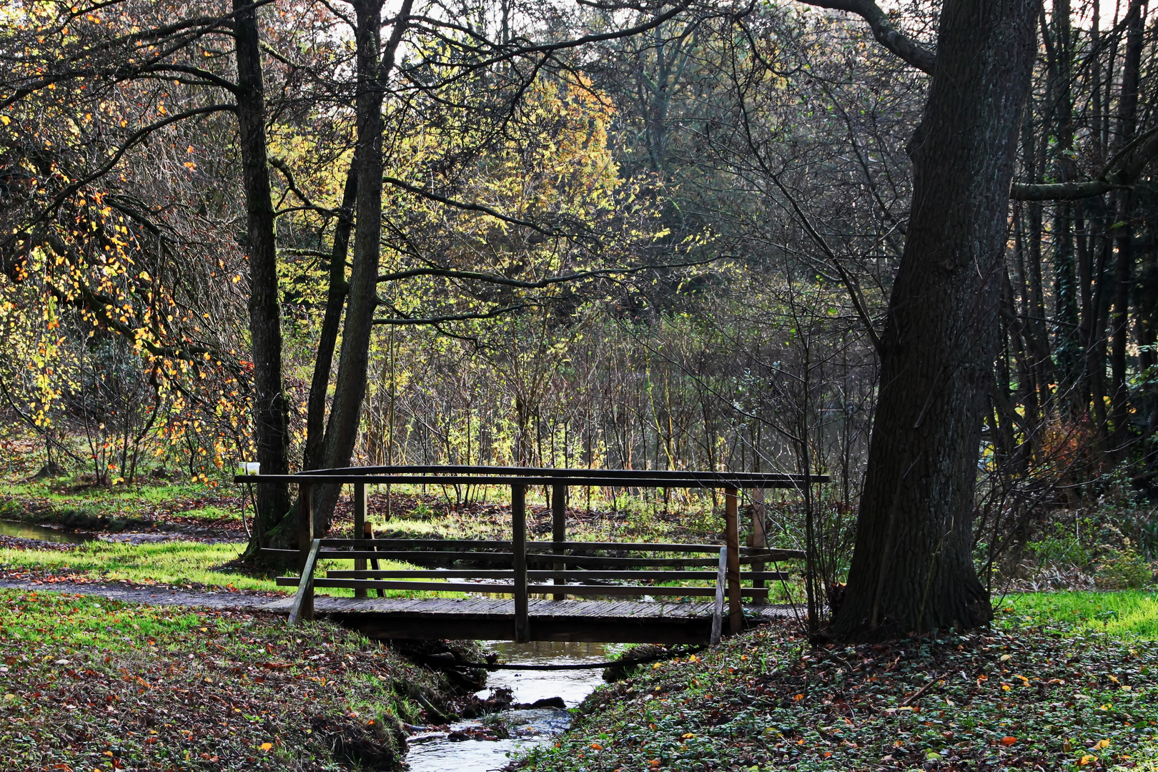 die Brücke über den Bach