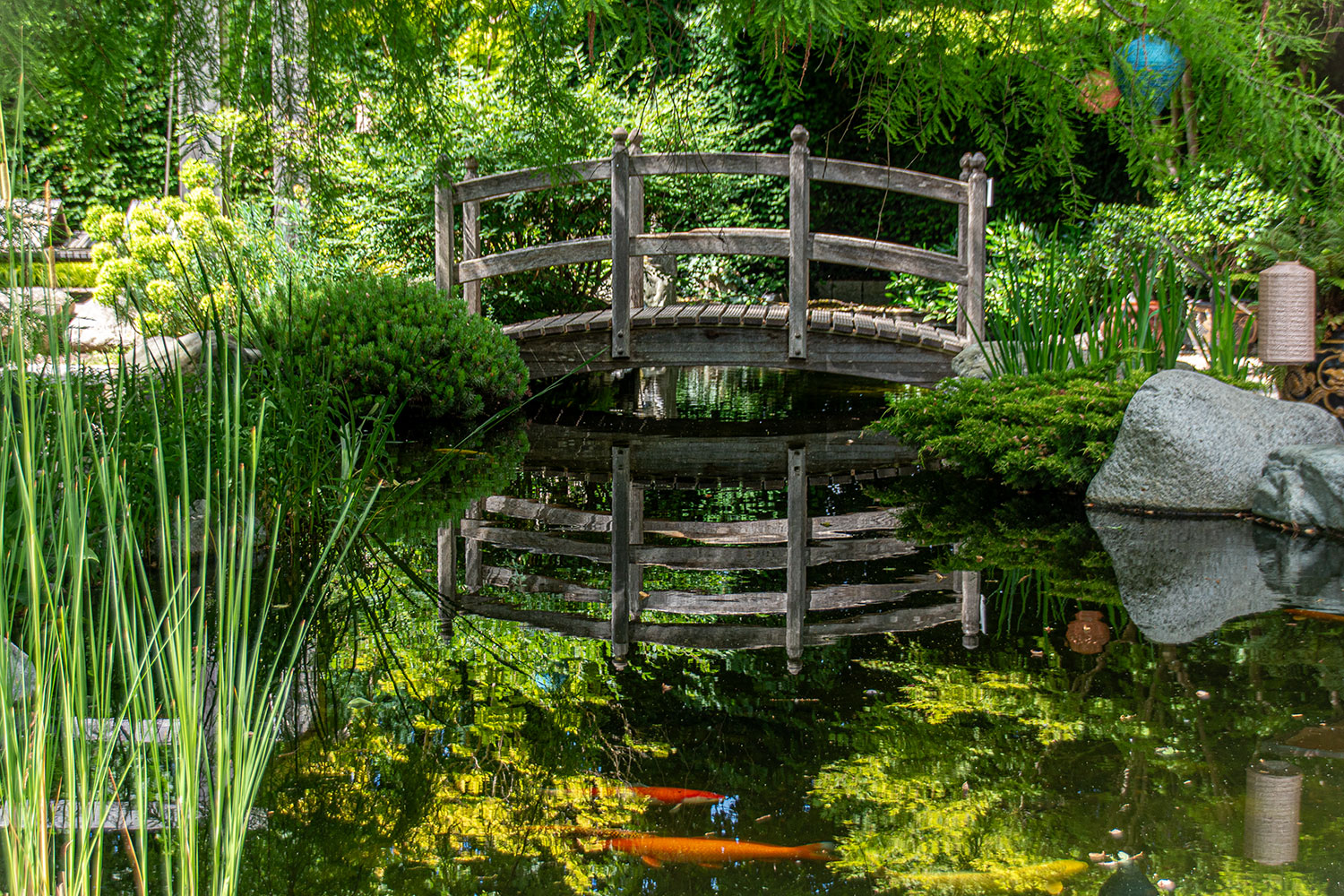 Die Brücke über den Teich