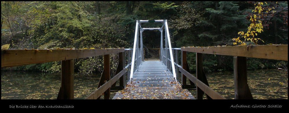 Die Brücke über einen kleinen Zufluss der Ilz.