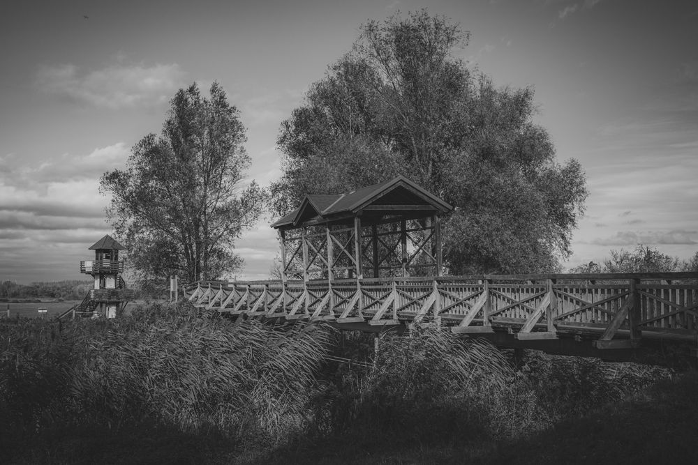 Die Brücke von Andau