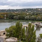 Die Brücke von Avignon (St. Bénezet)