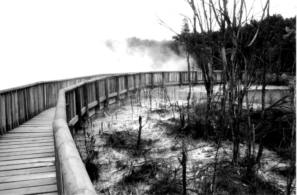 die Brücke zum anderen Ufer