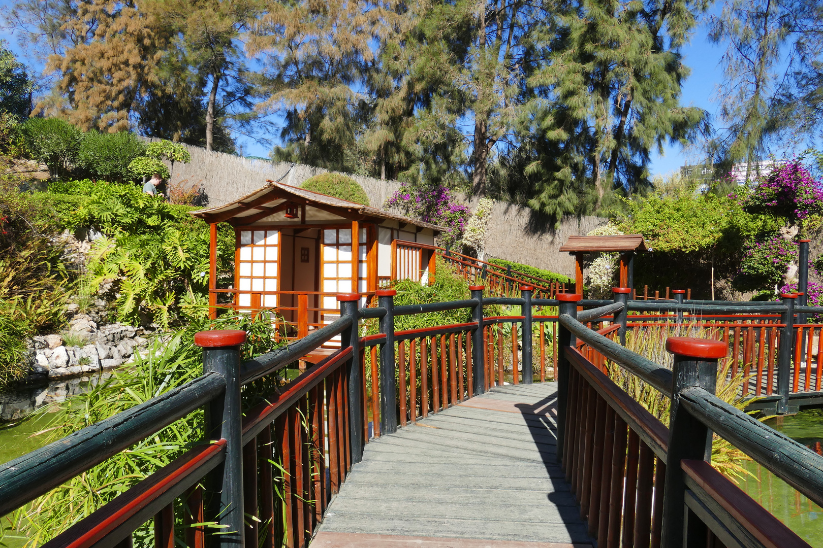 ...die Brücke zum japanischen Teehaus...