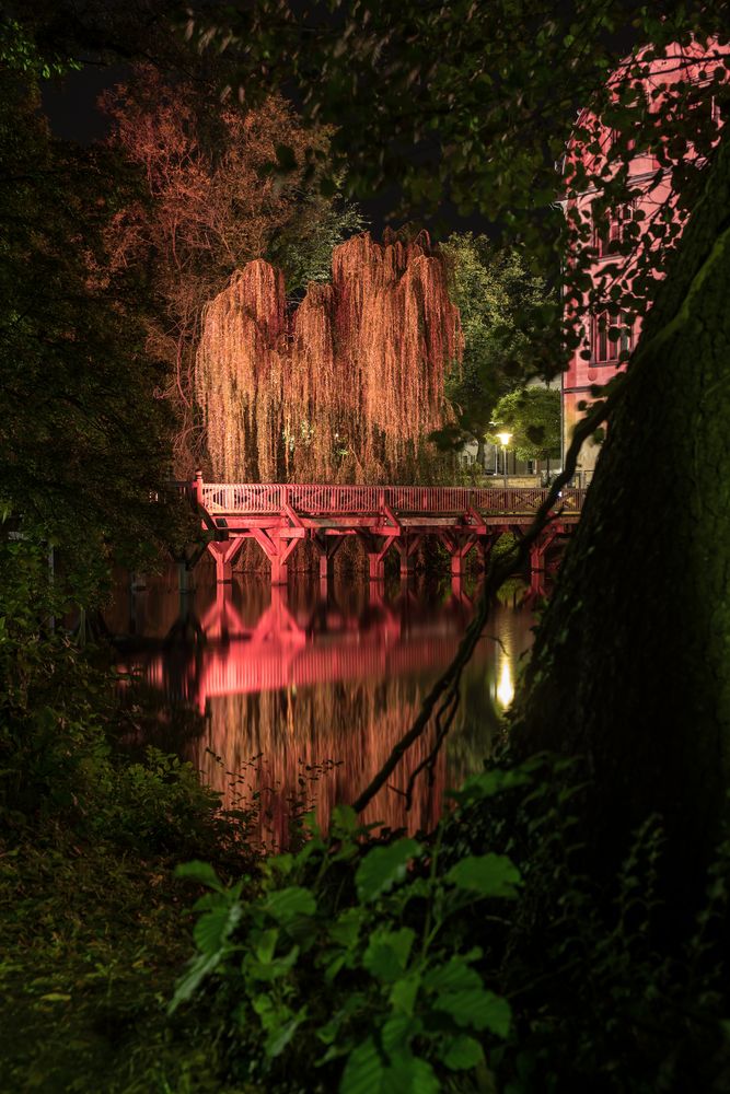 Die Brücke zum Schloss