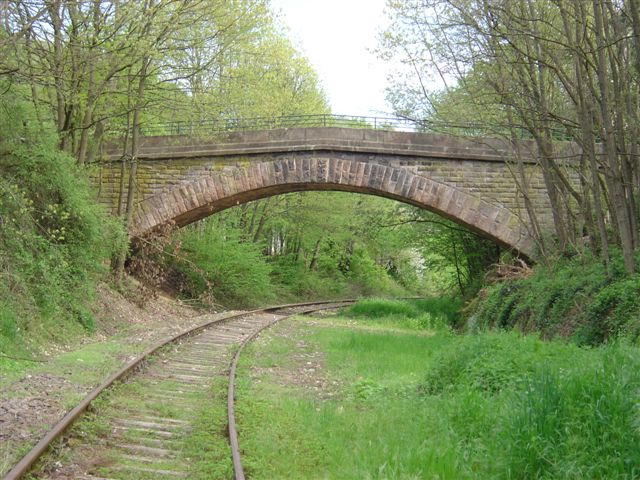 die Brücke zur Natur