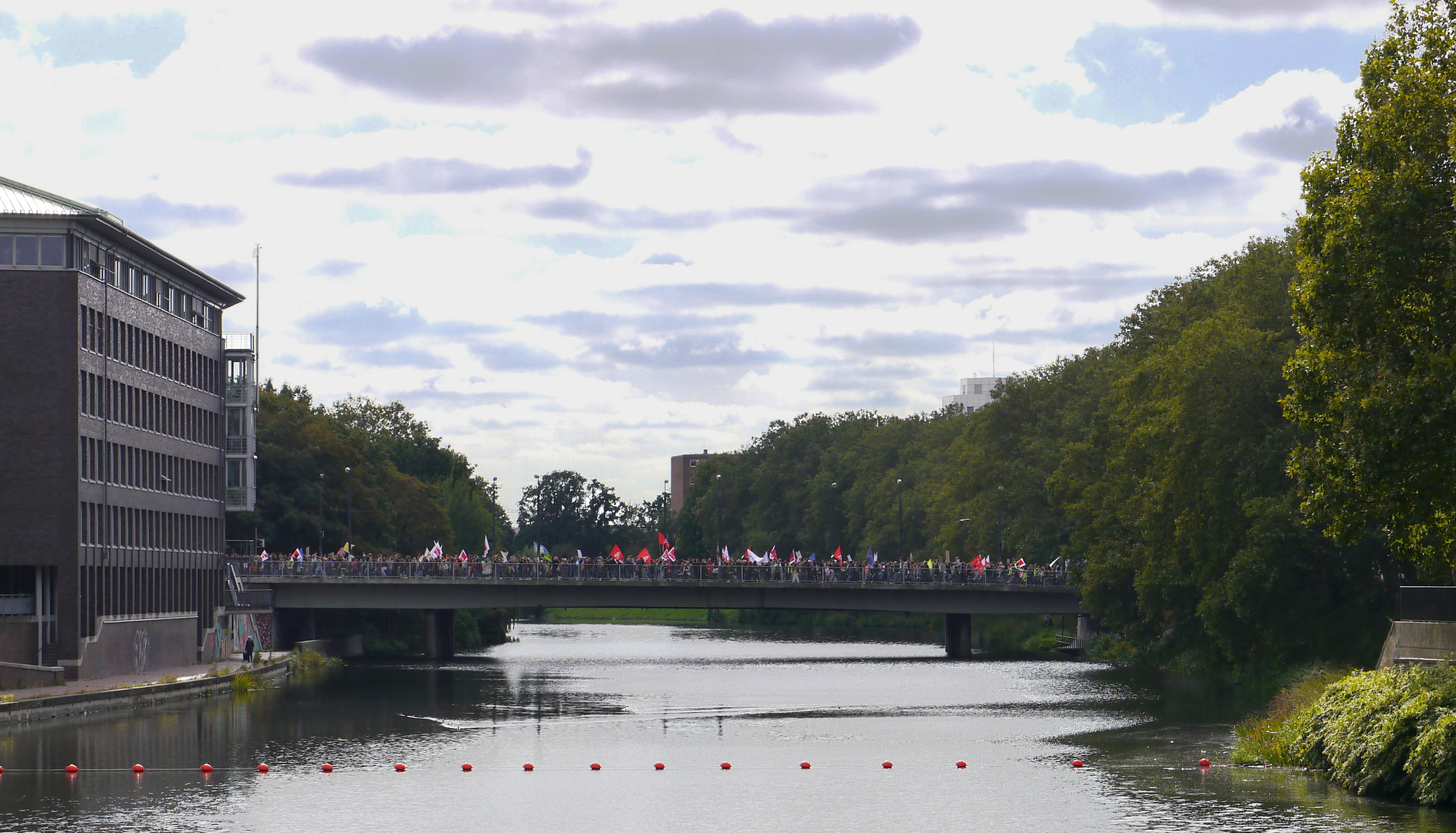 die brücke zwischen grün und grau