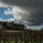 Die Bubenhäuser Höhe bei Rauenthal