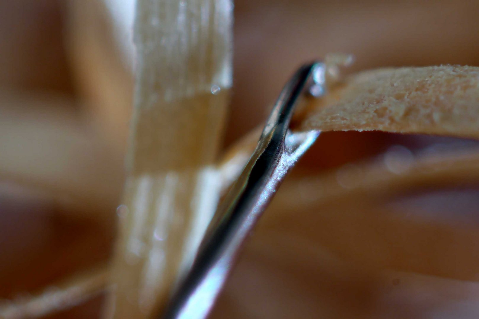 Die buchstäbliche (Näh)Nadel in einem Heuhaufen fotografisch gefunden