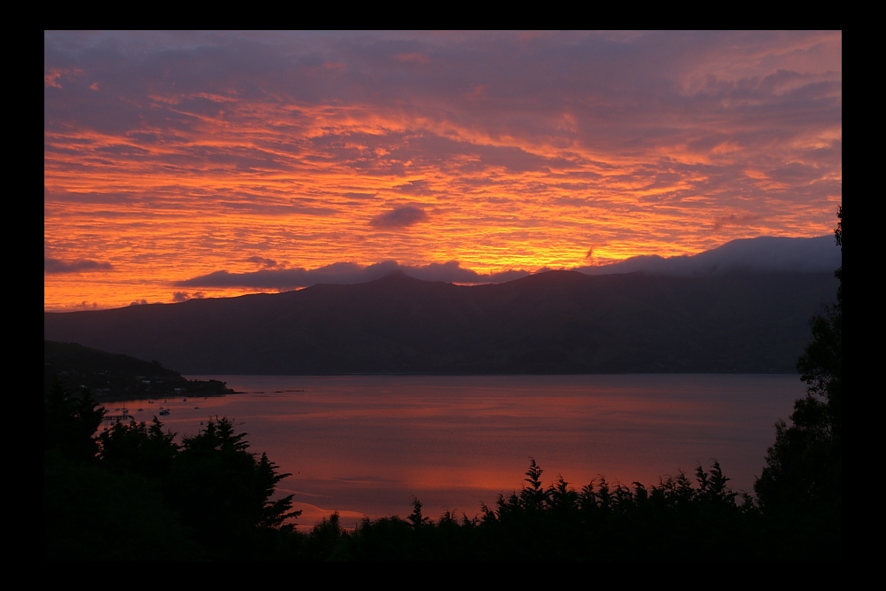 Die Bucht von Akaroa