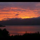 Die Bucht von Akaroa