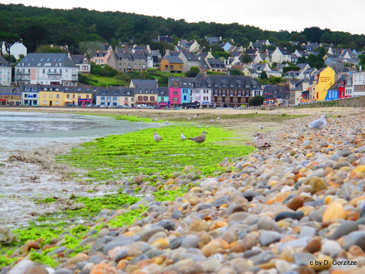 Die Bucht von Morgat bei Ebbe !