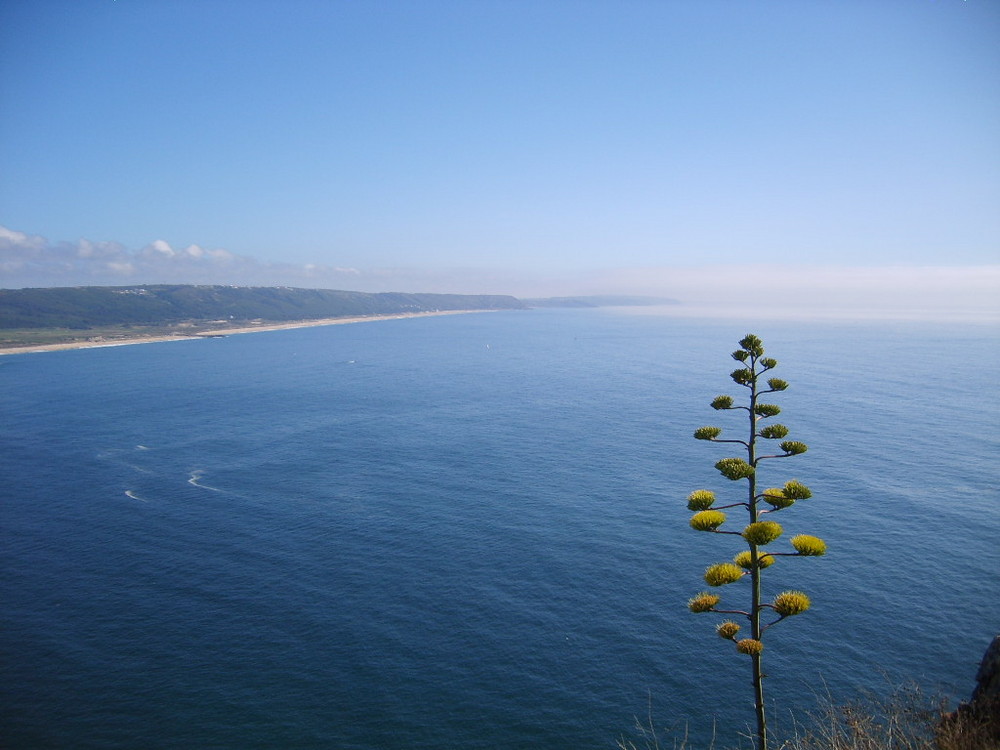 Die Bucht von Nazare