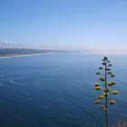 Die Bucht von Nazare