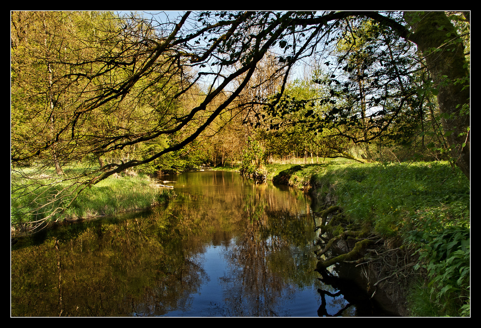 Die Bühler