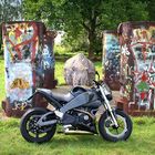 Die Buell und das Nashorn