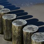 Die Buhnen am Strand sind ganz neu, anders als in Holland