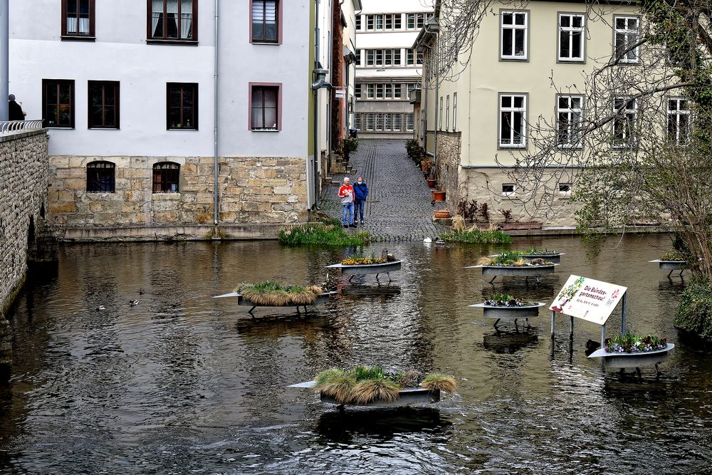 ... die Bundesgartenschau ...