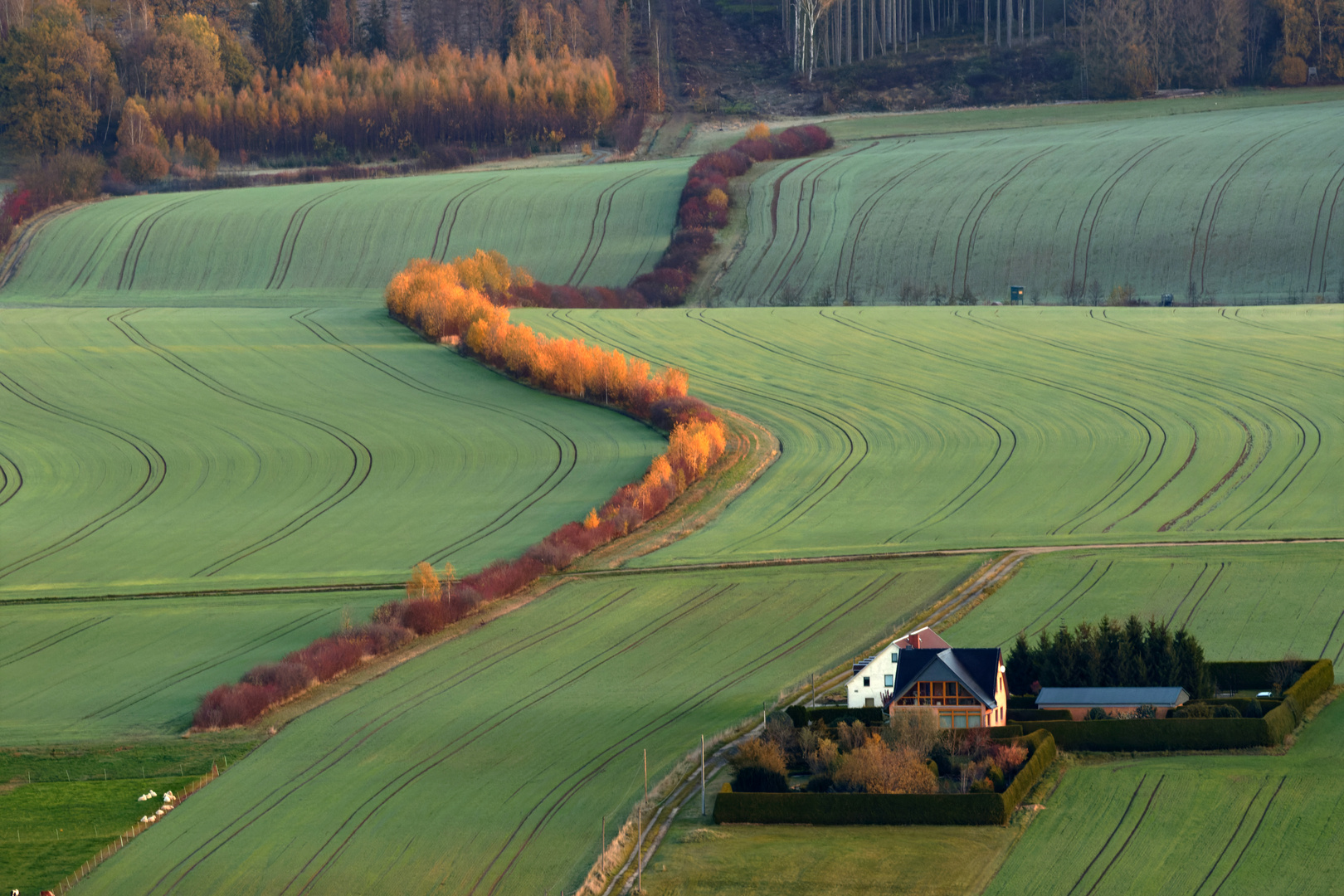 Die bunte Herbst(laub)schlange 