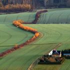 Die bunte Herbst(laub)schlange 