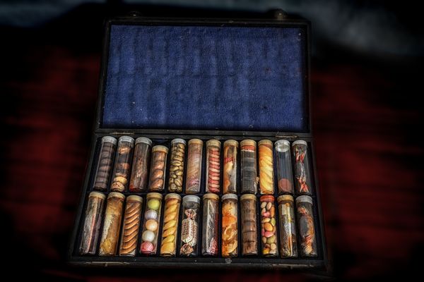 Die bunte Mischung fürs Wochenende