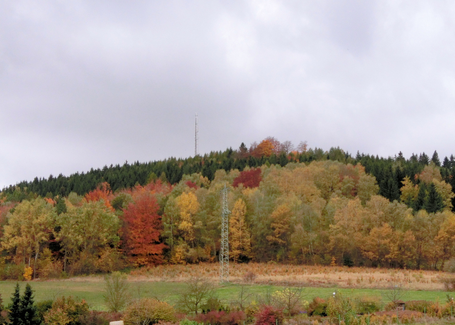 Die bunte Palette des Herbstes