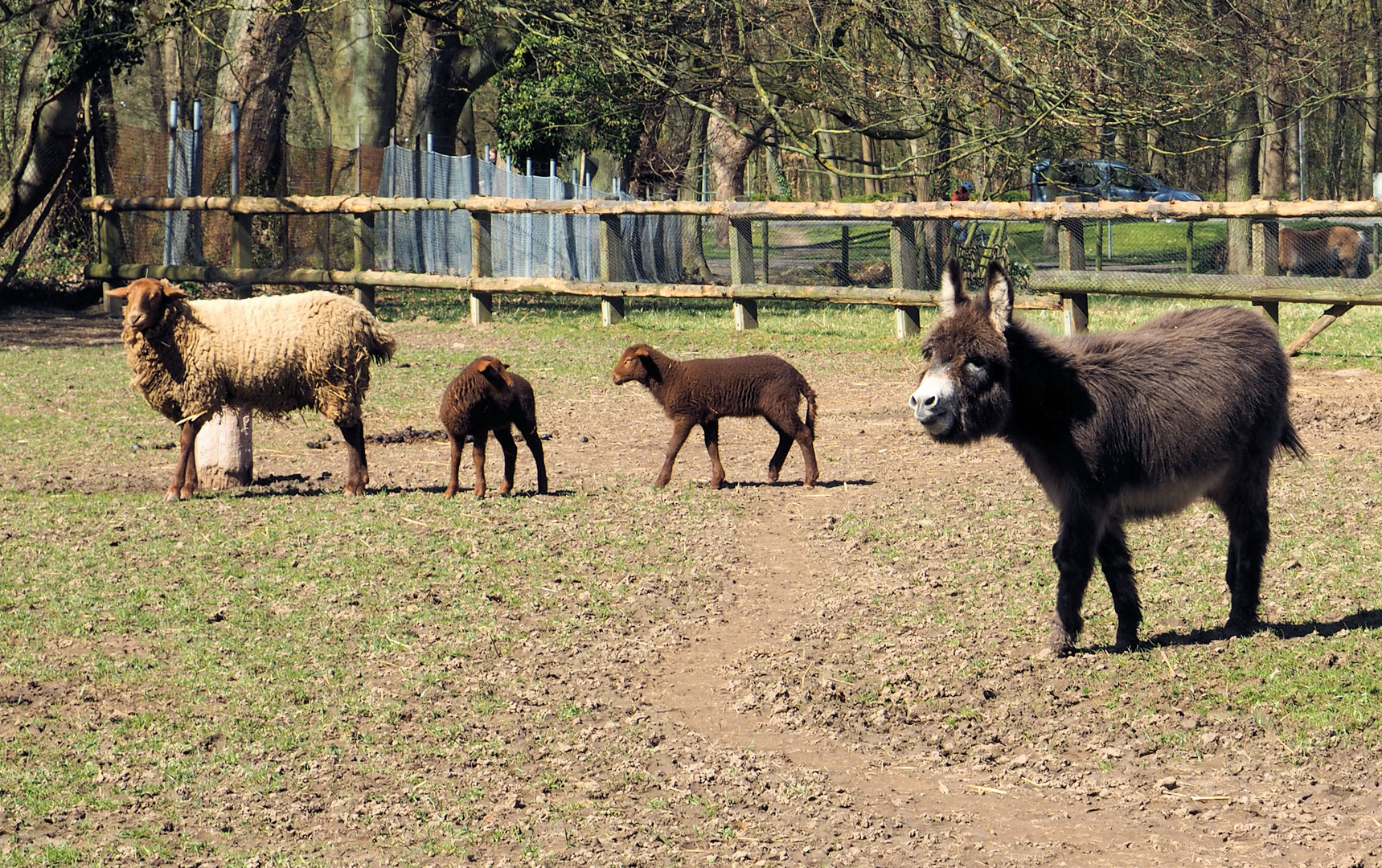 Die bunte Truppe...