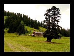 Die Bural Hütte...