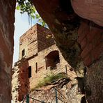 Die Burg Altdahn liegt im südlichen Pfälzerwald auf 337mü.NN,... 2