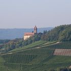 Die Burg am Weinberg