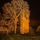 Die Burg Arnstein (3)