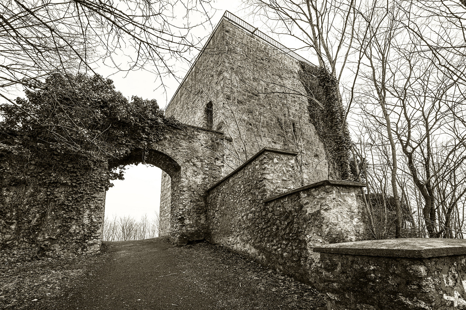 Die Burg auf dem Bussen