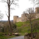 Die Burg Blankenberg