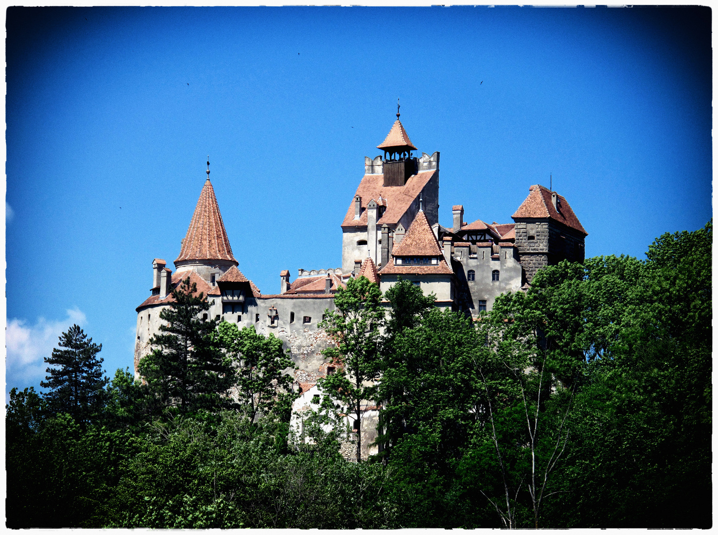 Die Burg des Grafen...