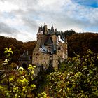 Die Burg Eltz