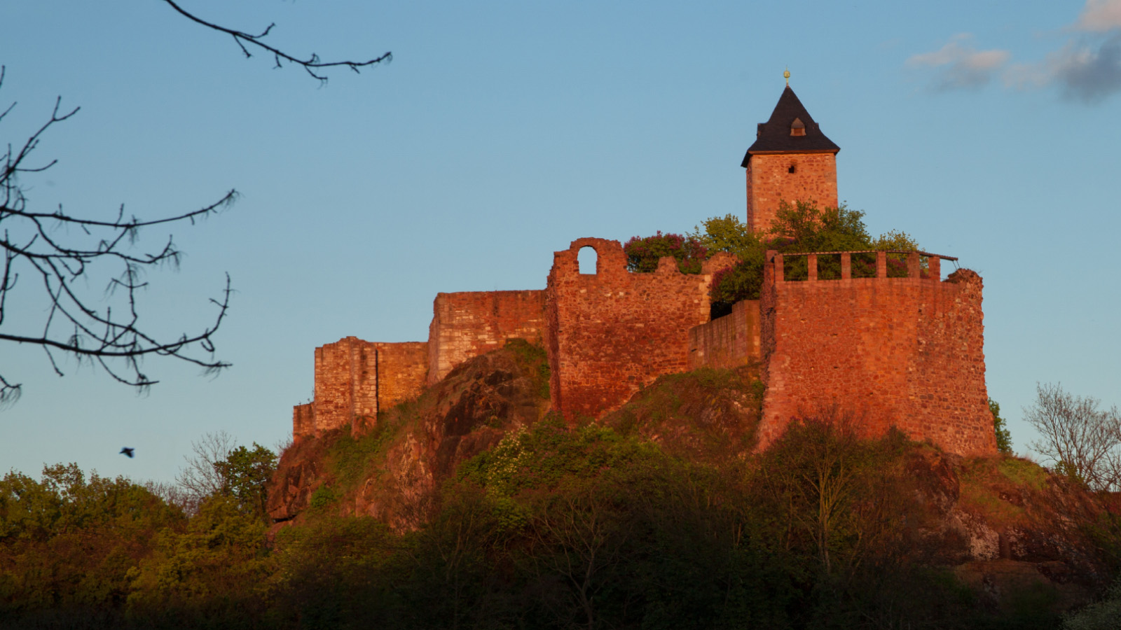 Die Burg Giebichenstein in Halle